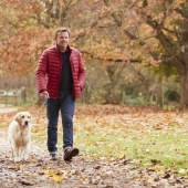 Mag je nog met je hond wandelen als hij artrose heeft?