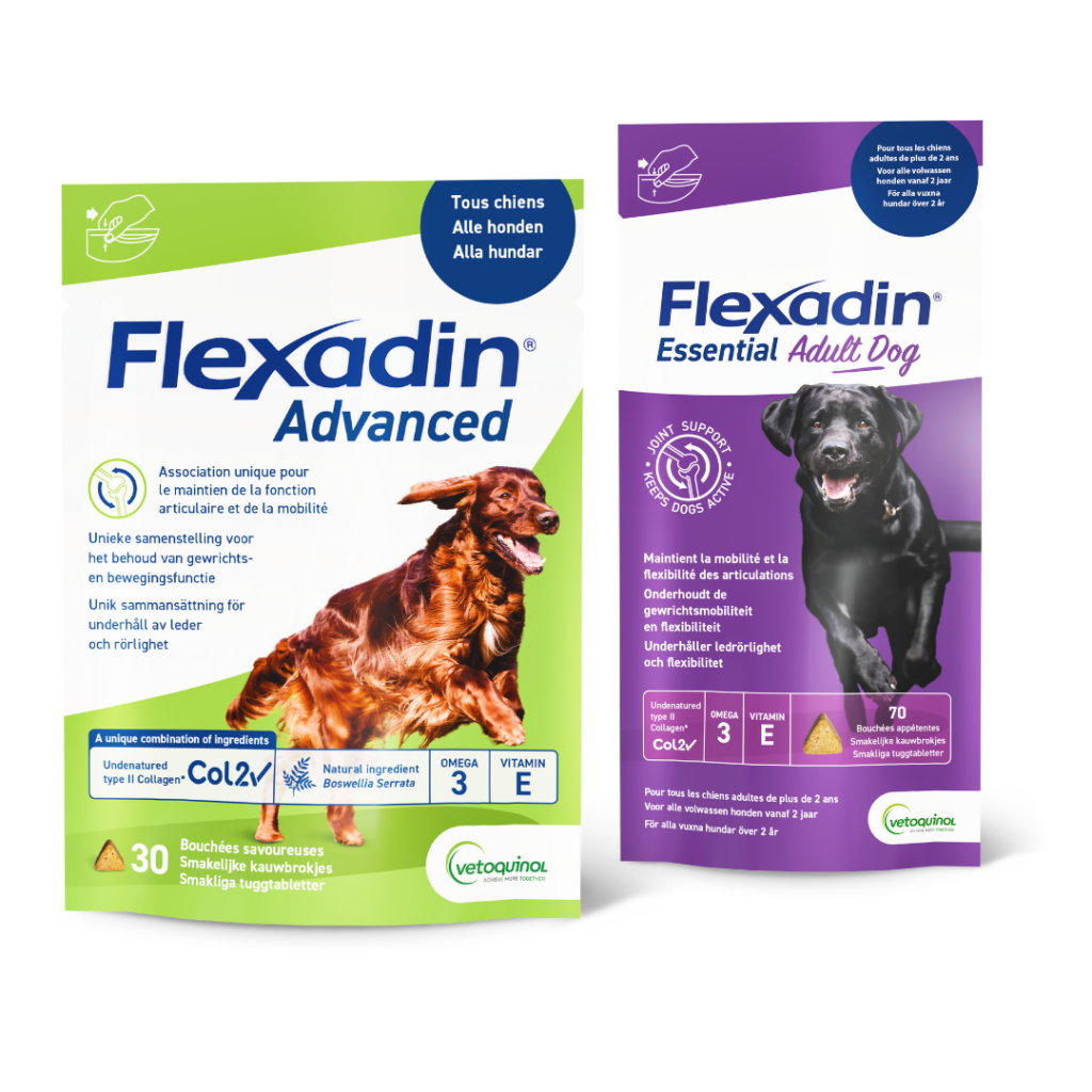 20% des chiens âgés de plus de 1 an présentent déjà les signes d'une perte de mobilité. Flexadin offre à chaque chien le complément alinmentaire dont il a besoin.
