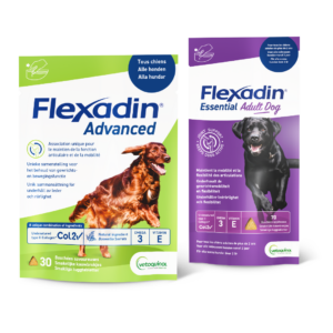 20% des chiens âgés de plus de 1 an présentent déjà les signes d'une perte de mobilité. Flexadin offre à chaque chien le complément alinmentaire dont il a besoin.