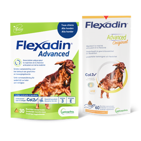 nieuw gamma van Flexadin met flexadin advanced en flexadin advanced original