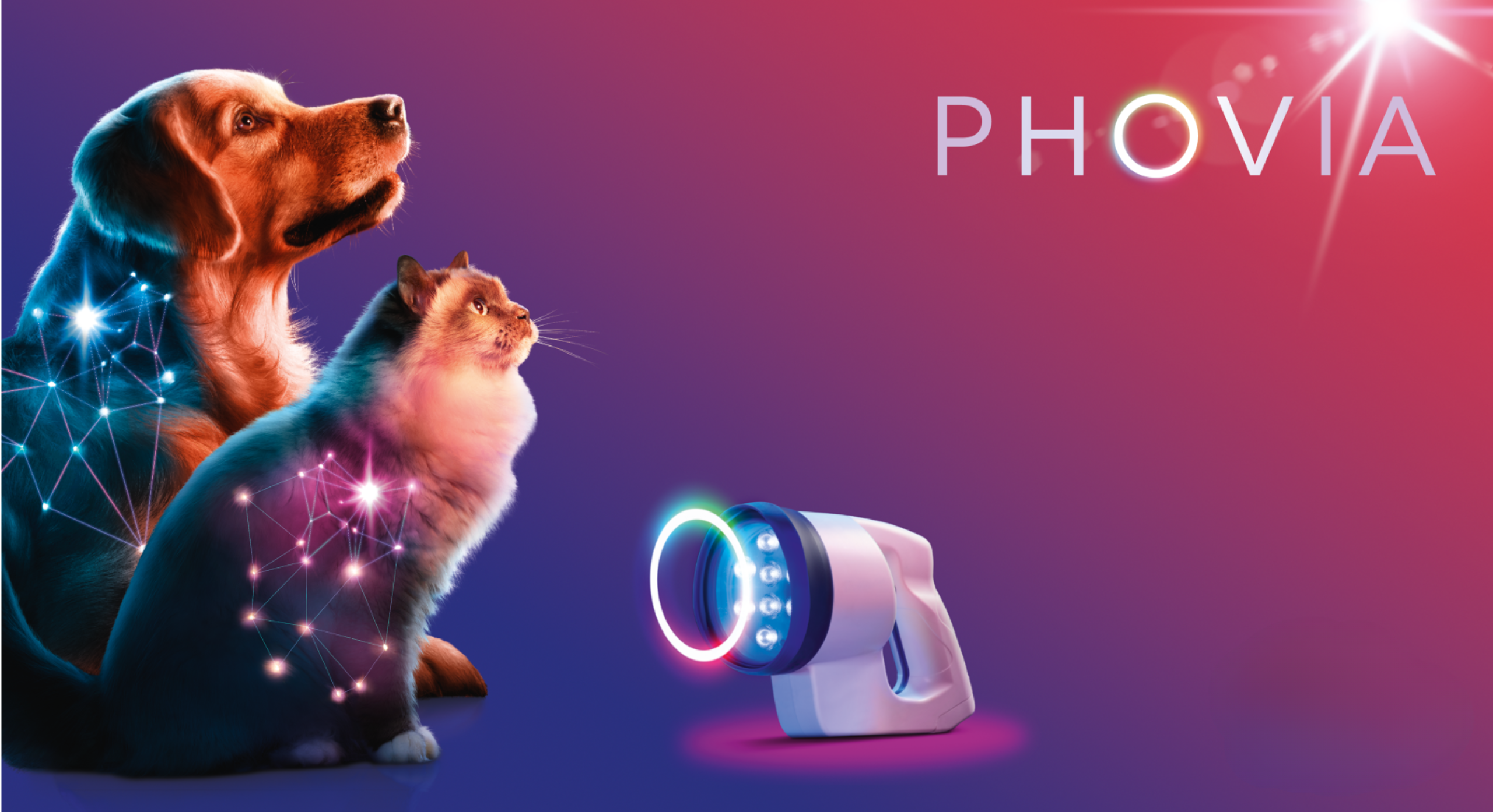 Lichththerapie voor honden en katten, Phovia