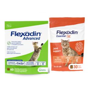 Quatre chat sur dix souffrent d'un manque de souplesse. Pour assurer une vie longue et active à votre chat, il est essentiel de prêter une attention toute particulière à ses articulations. Flexadin offre à chaque chat le complément alimentaire dont il a besoin.