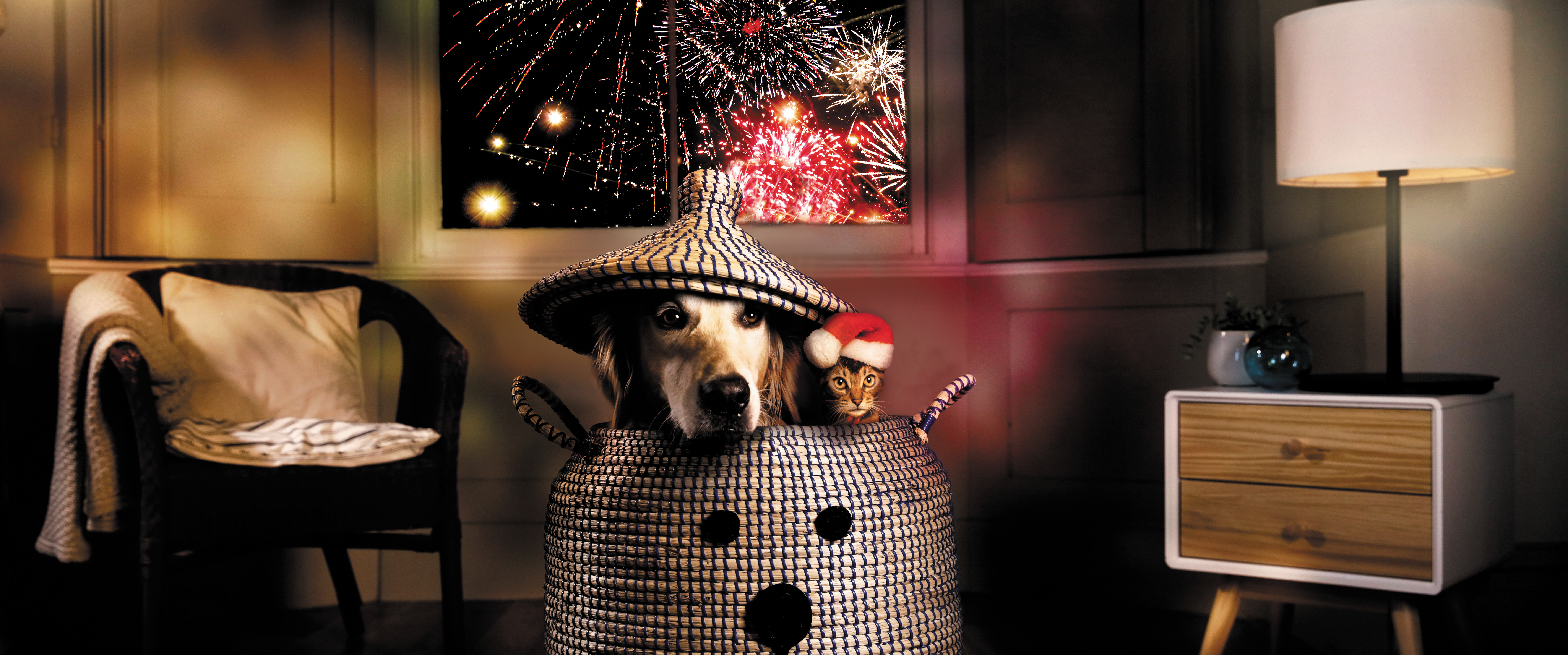 Zylkene fin d'année: aidez le feu d'artifice et des bruits forts