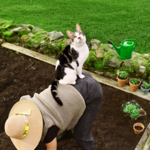 5 tips om wormen te voorkomen bij kat