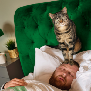 6 signes des vers chez chats