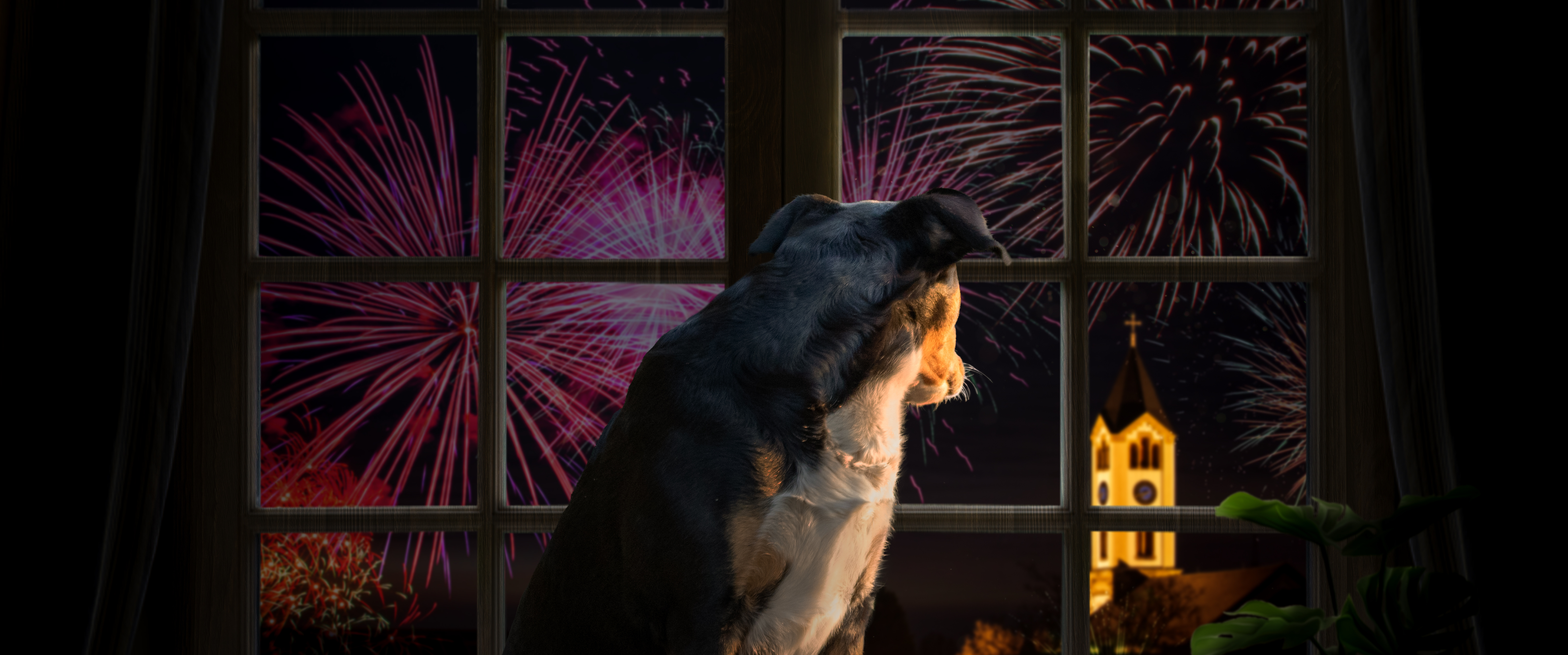 hond vuurwerkangst
