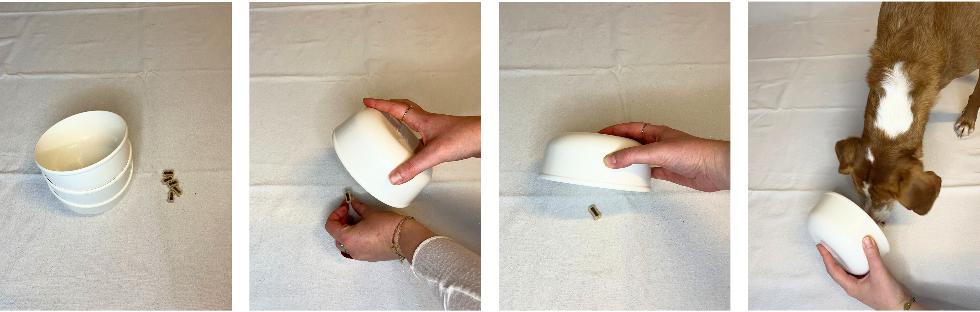 DIY-speeltjes voor honden: het kommetjesspel