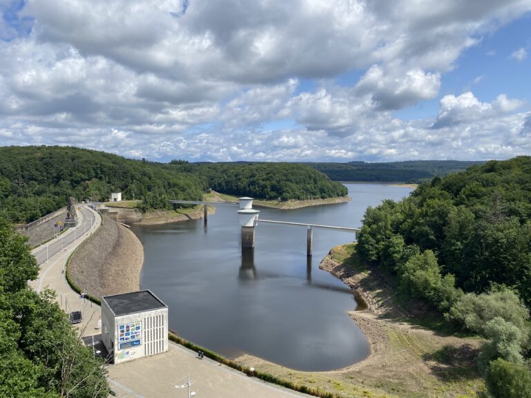 Randonnées hivernales en 2026 avec votre chien. Vue sur le lac de la Gileppe en Wallonie