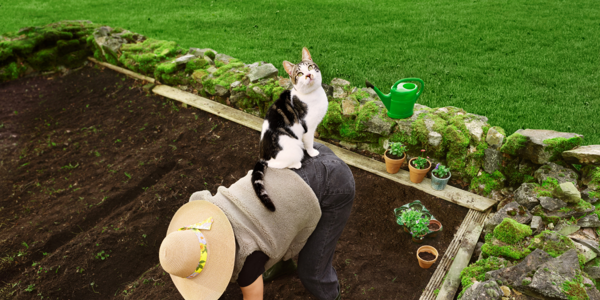 Prévenir des vers chez chat: 5 conseils